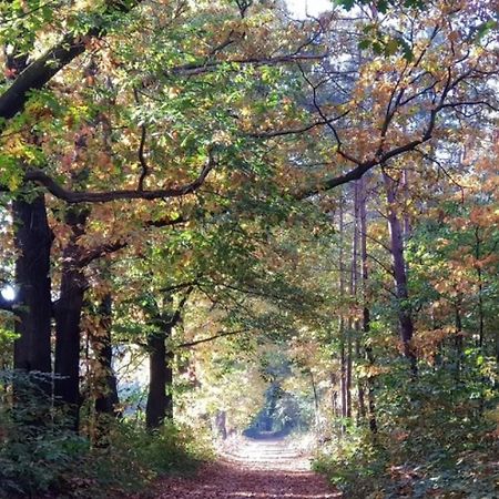 Vakantiehuis Op Rustig Bospark Veluwe Voorthuizen Eksteriør bilde