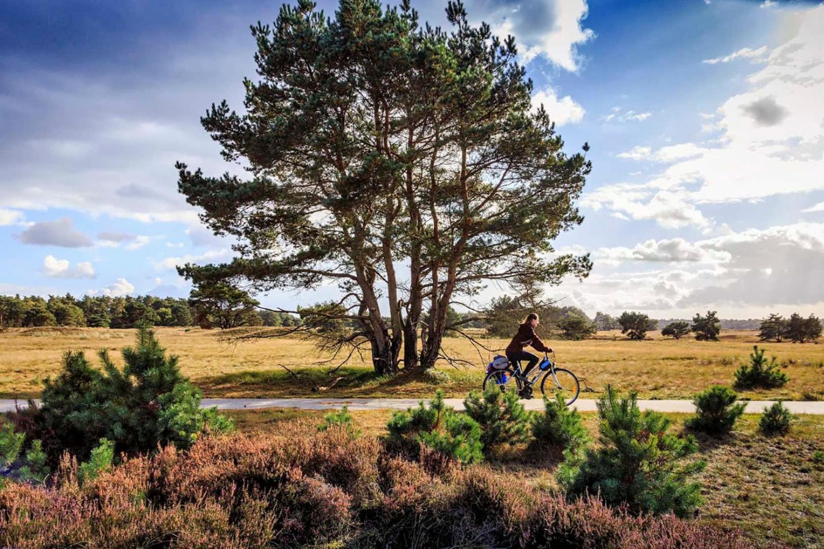 Vakantiehuis Op Rustig Bospark Veluwe Voorthuizen Eksteriør bilde