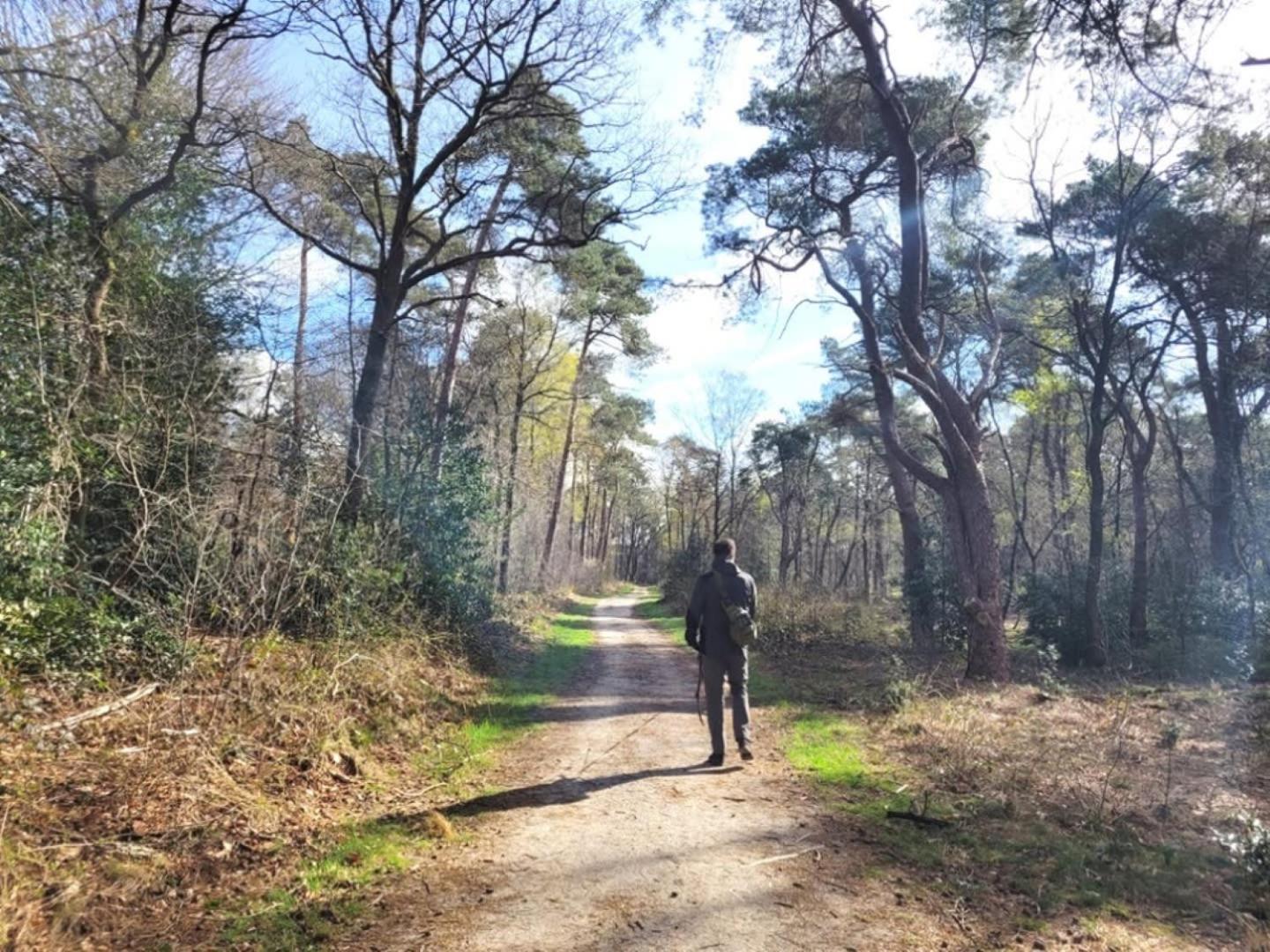 Vakantiehuis Op Rustig Bospark Veluwe Voorthuizen Eksteriør bilde